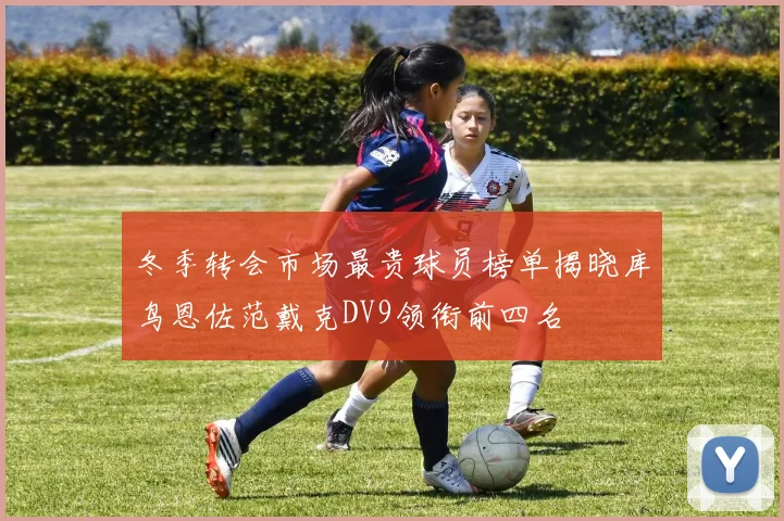 冬季转会市场最贵球员榜单揭晓库鸟恩佐范戴克DV9领衔前四名
